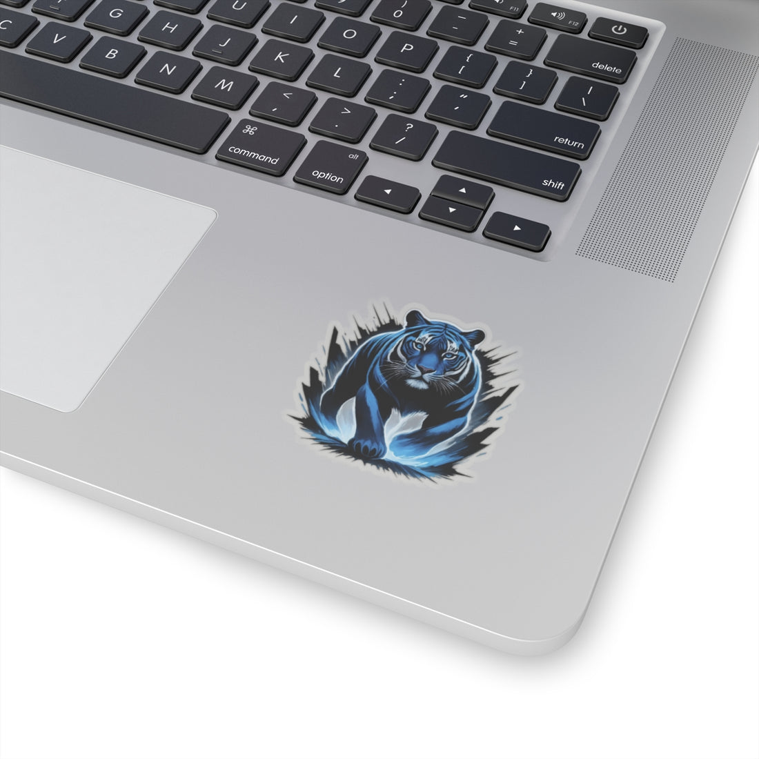 Pounce Sticker