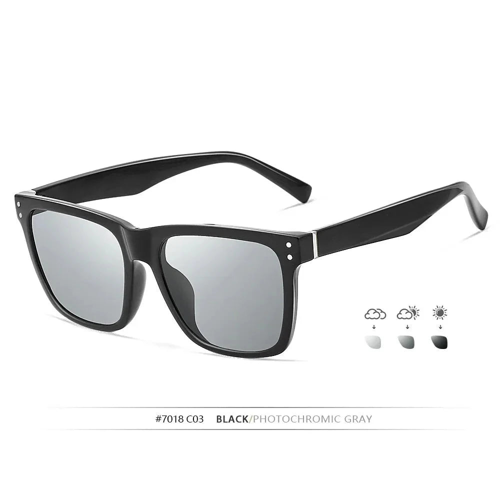 48767069028637|48767069061405